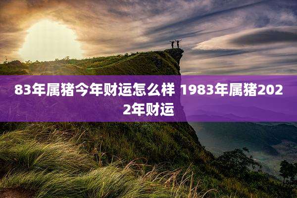 83年属猪今年财运怎么样 1983年属猪2022年财运