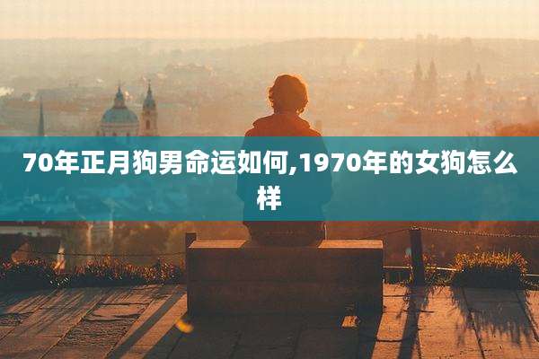 70年正月狗男命运如何,1970年的女狗怎么样