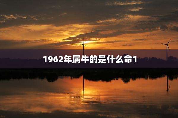 1962年属牛的是什么命1