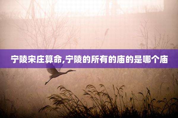 宁陵宋庄算命,宁陵的所有的庙的是哪个庙