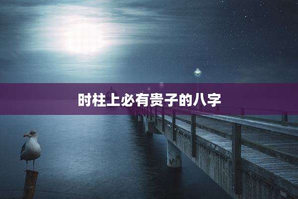 时柱上必有贵子的八字