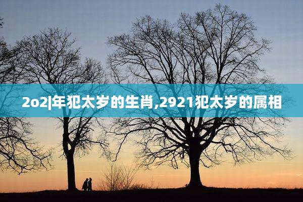 2o2|年犯太岁的生肖,2921犯太岁的属相