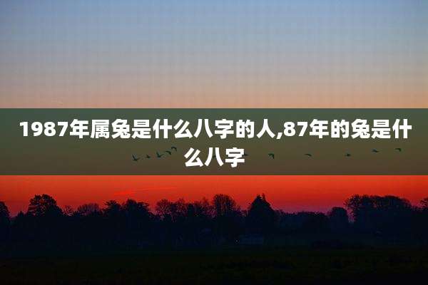 1987年属兔是什么八字的人,87年的兔是什么八字