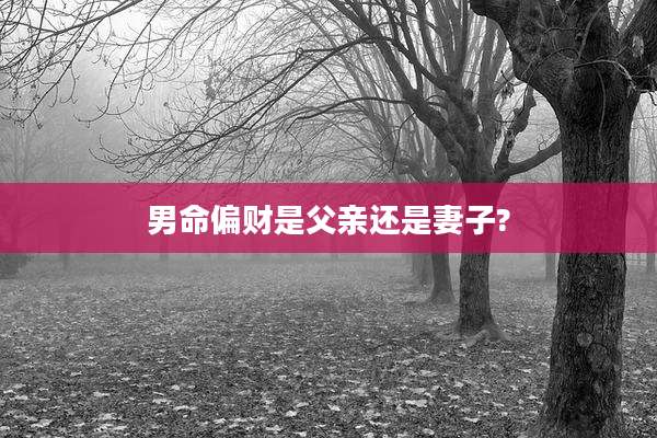男命偏财是父亲还是妻子?