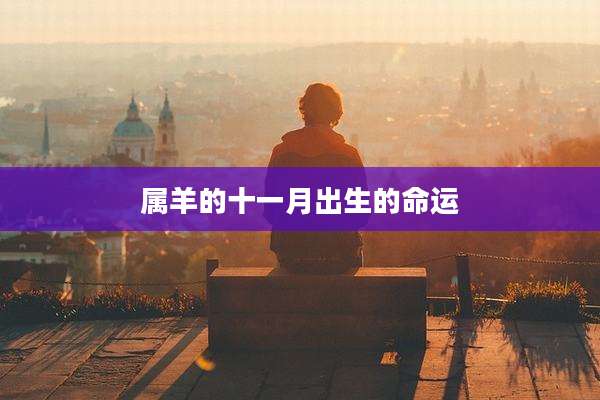 属羊的十一月出生的命运