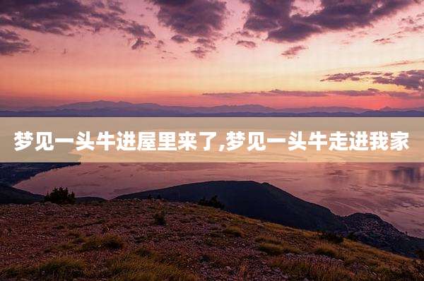梦见一头牛进屋里来了,梦见一头牛走进我家
