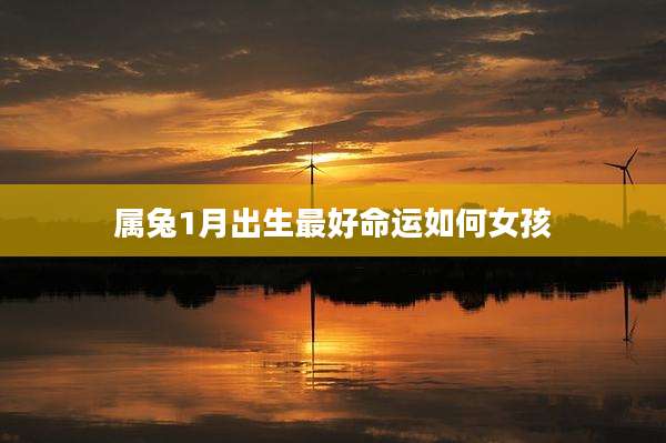 属兔1月出生最好命运如何女孩