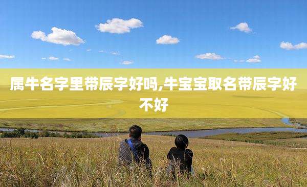 属牛名字里带辰字好吗,牛宝宝取名带辰字好不好