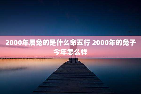 2000年属兔的是什么命五行 2000年的兔子今年怎么样