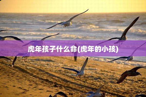 虎年孩子什么命(虎年的小孩)