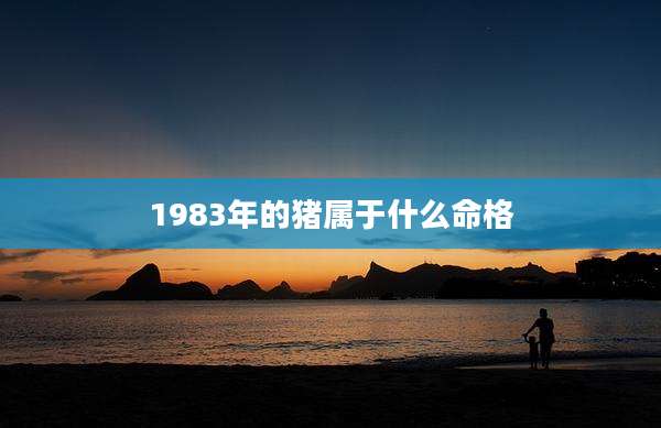 1983年的猪属于什么命格