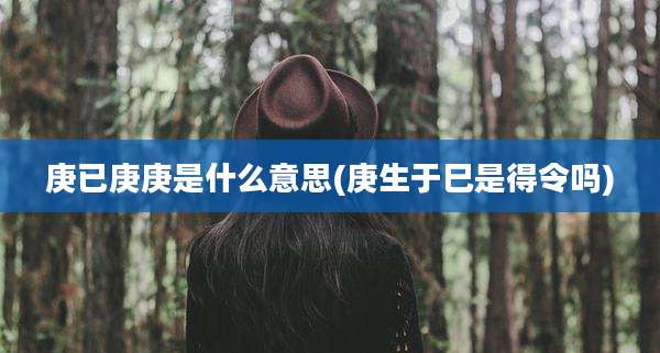 庚已庚庚是什么意思(庚生于巳是得令吗)