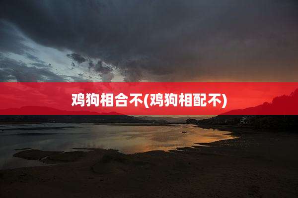 鸡狗相合不(鸡狗相配不)