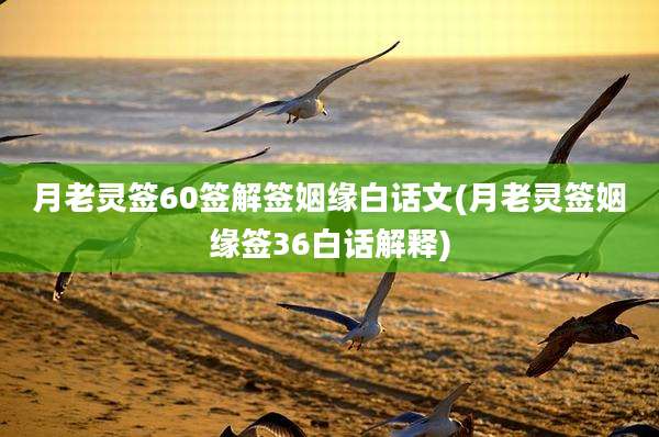 月老灵签60签解签姻缘白话文(月老灵签姻缘签36白话解释)