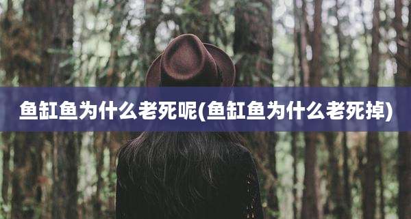 鱼缸鱼为什么老死呢(鱼缸鱼为什么老死掉)
