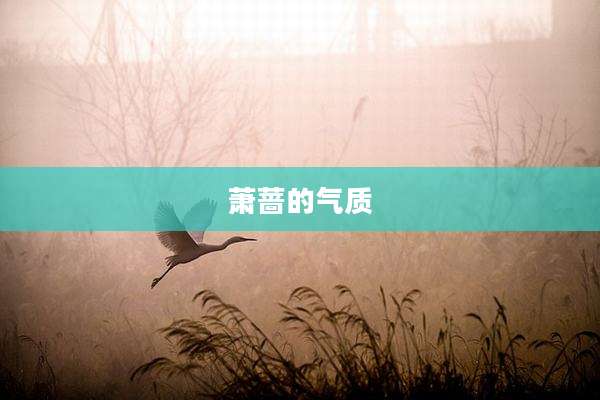 萧蔷的气质