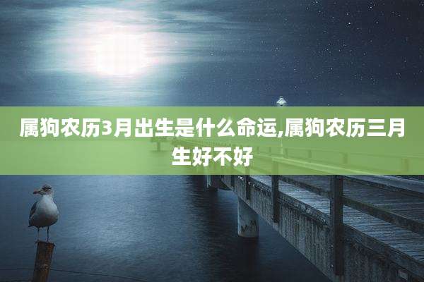 属狗农历3月出生是什么命运,属狗农历三月生好不好