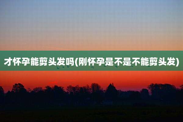 才怀孕能剪头发吗(刚怀孕是不是不能剪头发)