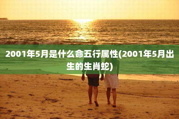 2001年5月是什么命五行属性(2001年5月出生的生肖蛇)