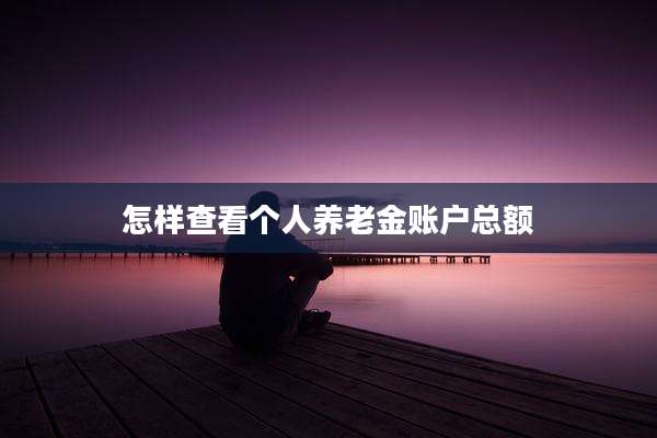 怎样查看个人养老金账户总额