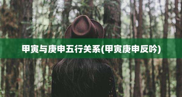 甲寅与庚申五行关系(甲寅庚申反吟)