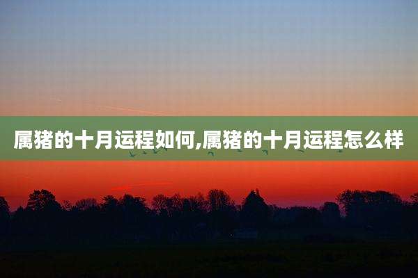 属猪的十月运程如何,属猪的十月运程怎么样