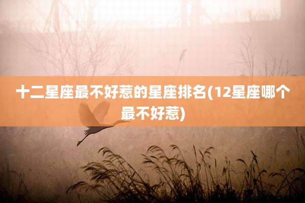 十二星座最不好惹的星座排名(12星座哪个最不好惹)