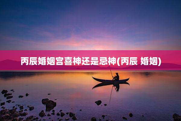 丙辰婚姻宫喜神还是忌神(丙辰 婚姻)