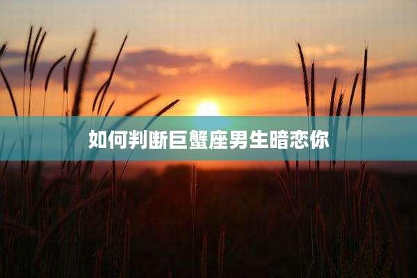 如何判断巨蟹座男生暗恋你