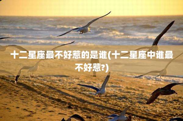 十二星座最不好惹的是谁(十二星座中谁最不好惹?)
