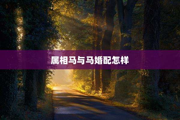 属相马与马婚配怎样
