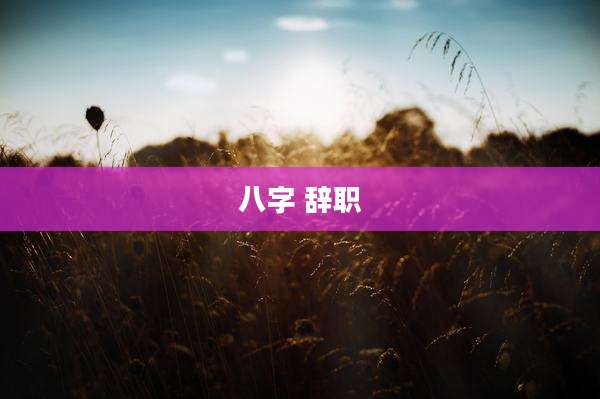 八字 辞职