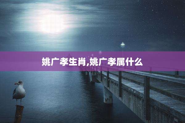 姚广孝生肖,姚广孝属什么