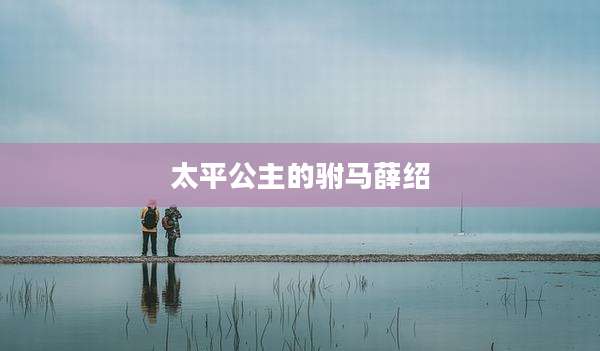 太平公主的驸马薛绍