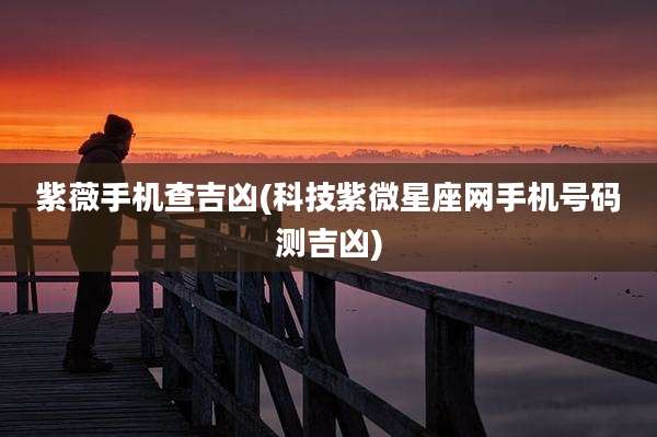 紫薇手机查吉凶(科技紫微星座网手机号码测吉凶)