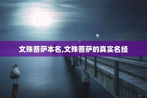 文殊菩萨本名,文殊菩萨的真实名经