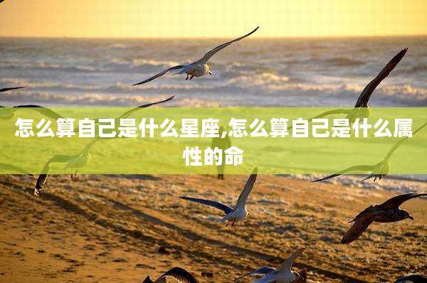 怎么算自己是什么星座,怎么算自己是什么属性的命