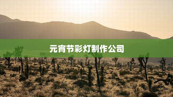 元宵节彩灯制作公司