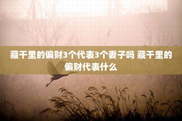 藏干里的偏财3个代表3个妻子吗 藏干里的偏财代表什么