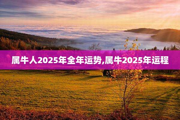属牛人2025年全年运势,属牛2025年运程