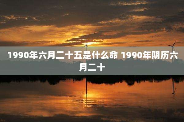 1990年六月二十五是什么命 1990年阴历六月二十