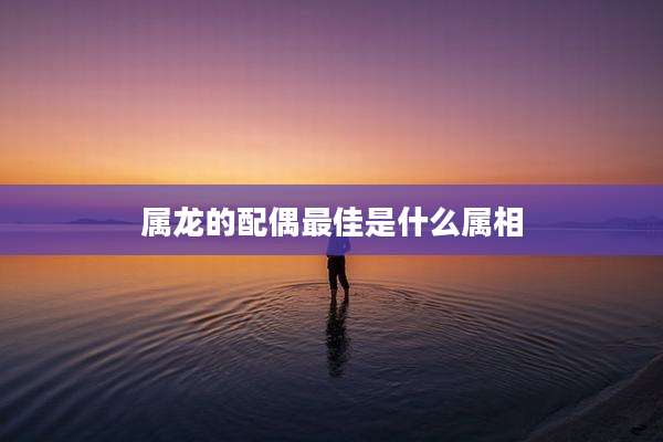 属龙的配偶最佳是什么属相