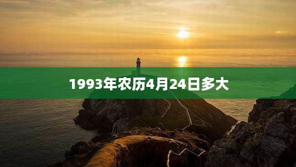 1993年农历4月24日多大
