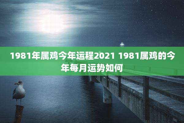 1981年属鸡今年运程2021 1981属鸡的今年每月运势如何