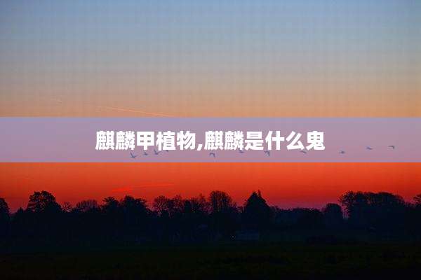 麒麟甲植物,麒麟是什么鬼