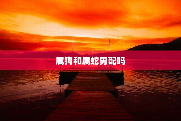 属狗和属蛇男配吗