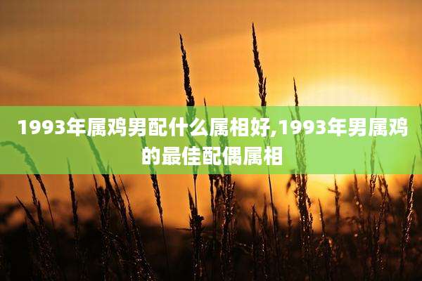 1993年属鸡男配什么属相好,1993年男属鸡的最佳配偶属相