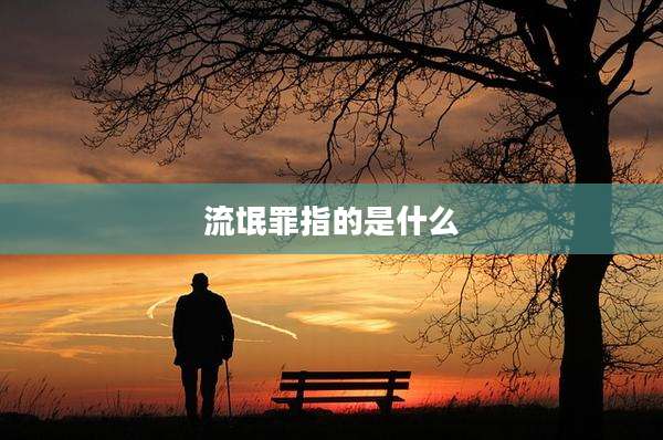 流氓罪指的是什么