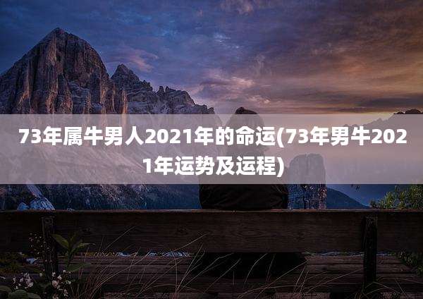 73年属牛男人2021年的命运(73年男牛2021年运势及运程)