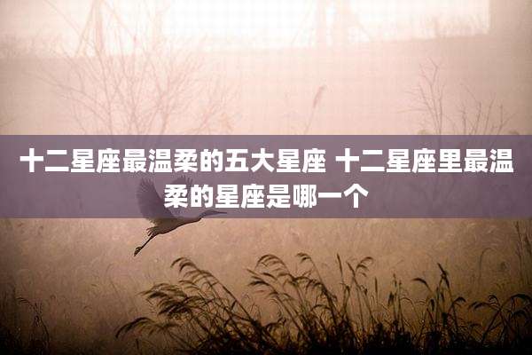 十二星座最温柔的五大星座 十二星座里最温柔的星座是哪一个